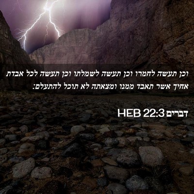 Picture 02 - דברים 22:3 HEB - וכן תעשה לחמרו וכן תעשה - Bible Verse Picture