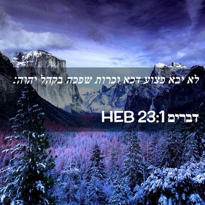 Picture 02 - דברים 23:1 HEB - לא יבא פצוע דכא וכרות שפכה - Bible Verse Picture