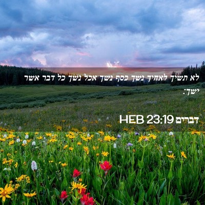 Picture 02 - דברים 23:19 HEB - לא תשיך לאחיך נשך כסף נשך - Bible Verse Picture