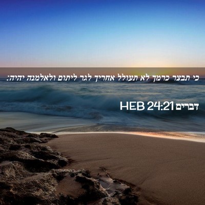 Picture 02 - דברים 24:21 HEB - כי תבצר כרמך לא תעולל אחריך - Bible Verse Picture