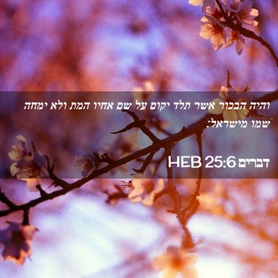 Picture 02 - דברים 25:6 HEB - והיה הבכור אשר תלד יקום על - Bible Verse Picture