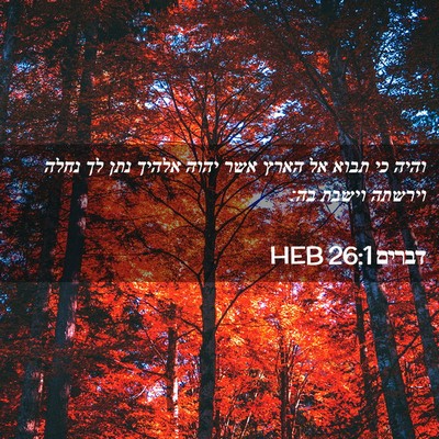 Picture 02 - דברים 26:1 HEB - והיה כי תבוא אל הארץ אשר - Bible Verse Picture
