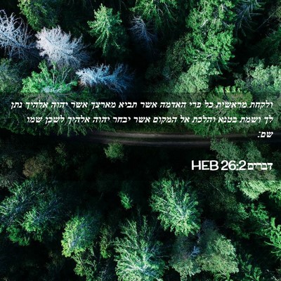 Picture 02 - דברים 26:2 HEB - ולקחת מראשית כל פרי האדמה - Bible Verse Picture