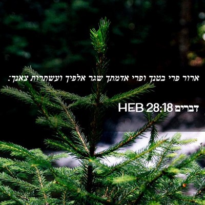 Picture 02 - דברים 28:18 HEB - ארור פרי בטנך ופרי אדמתך - Bible Verse Picture
