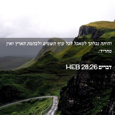 Picture 02 - דברים 28:26 HEB - והיתה נבלתך למאכל לכל עוף - Bible Verse Picture