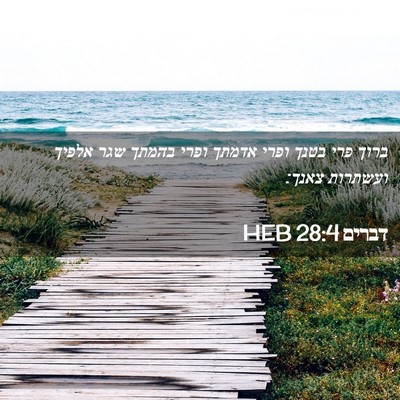 Picture 02 - דברים 28:4 HEB - ברוך פרי בטנך ופרי אדמתך - Bible Verse Picture