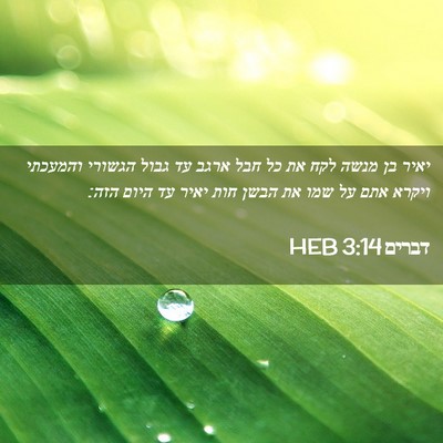 Picture 02 - דברים 3:14 HEB - יאיר בן מנשה לקח את כל חבל - Bible Verse Picture