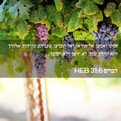 Picture 02 - דברים 31:6 HEB - חזקו ואמצו אל תיראו ואל - Bible Verse Picture