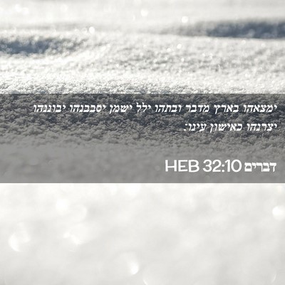Picture 02 - דברים 32:10 HEB - ימצאהו בארץ מדבר ובתהו ילל - Bible Verse Picture