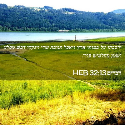 Picture 02 - דברים 32:13 HEB - ירכבהו על במותי ארץ ויאכל - Bible Verse Picture