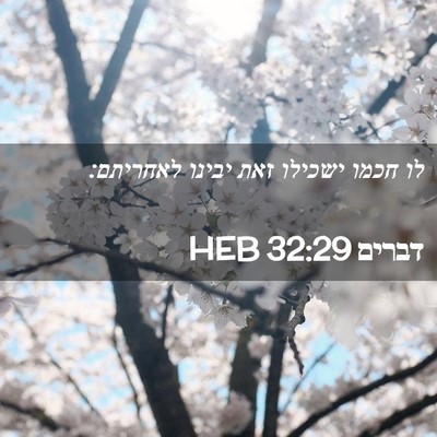 Picture 02 - דברים 32:29 HEB - לו חכמו ישכילו זאת יבינו - Bible Verse Picture