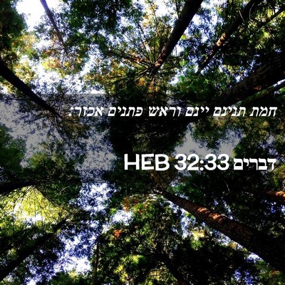 Picture 02 - דברים 32:33 HEB - חמת תנינם יינם וראש פתנים - Bible Verse Picture