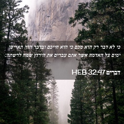 Picture 02 - דברים 32:47 HEB - כי לא דבר רק הוא מכם כי הוא - Bible Verse Picture