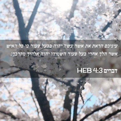Picture 02 - דברים 4:3 HEB - עיניכם הראת את אשר עשה יהוה - Bible Verse Picture