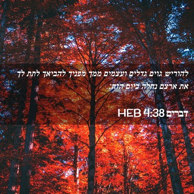 Picture 02 - דברים 4:38 HEB - להוריש גוים גדלים ועצמים - Bible Verse Picture