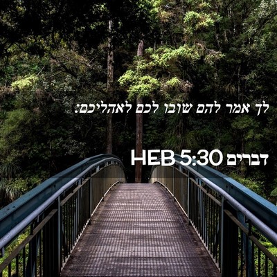 Picture 02 - דברים 5:30 HEB - לך אמר להם שובו לכם - Bible Verse Picture