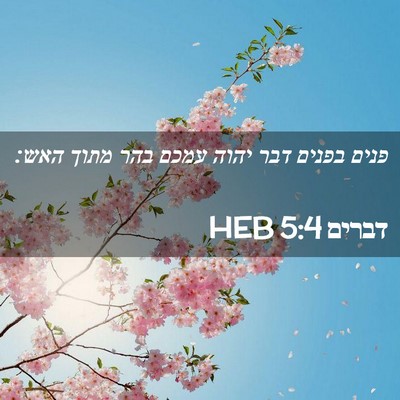 Picture 02 - דברים 5:4 HEB - פנים בפנים דבר יהוה עמכם - Bible Verse Picture