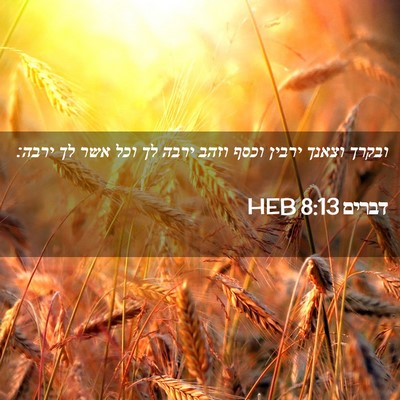 Picture 02 - דברים 8:13 HEB - ובקרך וצאנך ירבין וכסף - Bible Verse Picture