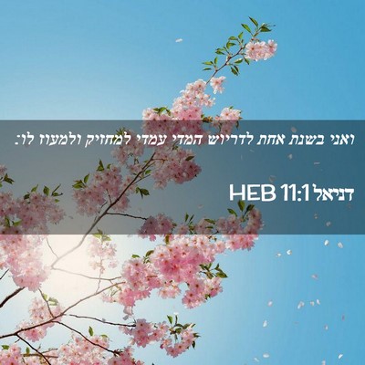 Picture 02 - דניאל 11:1 HEB - ואני בשנת אחת לדריוש המדי - Bible Verse Picture