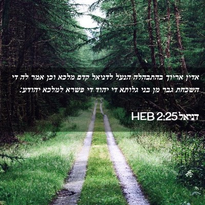 Picture 02 - דניאל 2:25 HEB - אדין אריוך בהתבהלה הנעל - Bible Verse Picture