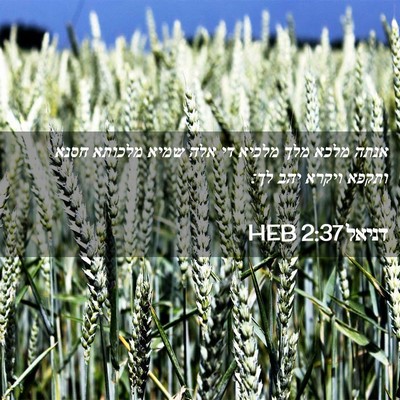 Picture 02 - דניאל 2:37 HEB - אנתה מלכא מלך מלכיא די אלה - Bible Verse Picture