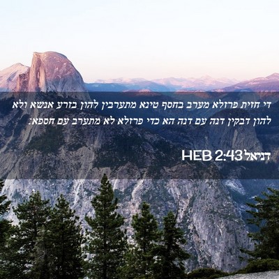 Picture 02 - דניאל 2:43 HEB - די חזית פרזלא מערב בחסף - Bible Verse Picture