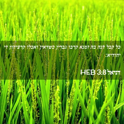 Picture 02 - דניאל 3:8 HEB - כל קבל דנה בה זמנא קרבו - Bible Verse Picture