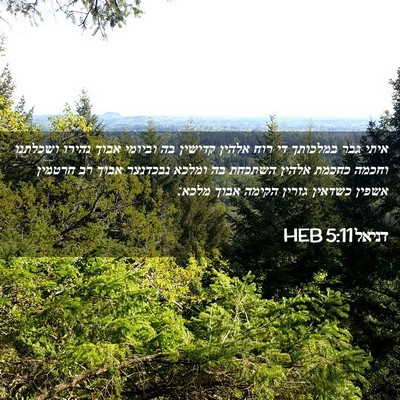 Picture 02 - דניאל 5:11 HEB - איתי גבר במלכותך די רוח - Bible Verse Picture