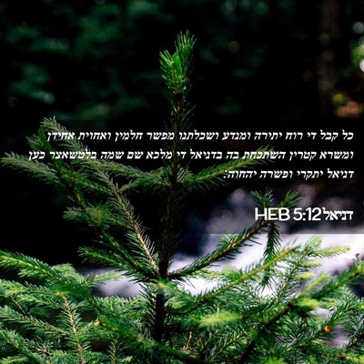 Picture 02 - דניאל 5:12 HEB - כל קבל די רוח יתירה ומנדע - Bible Verse Picture