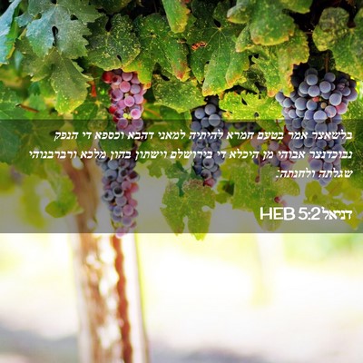 Picture 02 - דניאל 5:2 HEB - בלשאצר אמר בטעם חמרא - Bible Verse Picture
