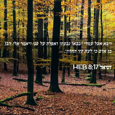 Picture 02 - דניאל 8:17 HEB - ויבא אצל עמדי ובבאו נבעתי - Bible Verse Picture