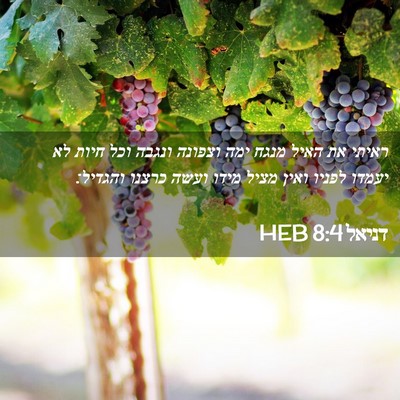 Picture 02 - דניאל 8:4 HEB - ראיתי את האיל מנגח ימה - Bible Verse Picture