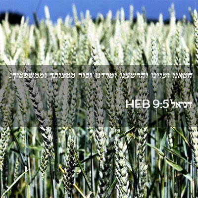 Picture 02 - דניאל 9:5 HEB - חטאנו ועוינו והרשענו - Bible Verse Picture