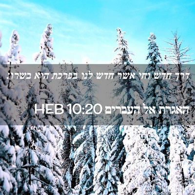 Picture 02 - האגרת אל העברים 10:20 HEB - דרך חדש וחי אשר חדש לנו - Bible Verse Picture