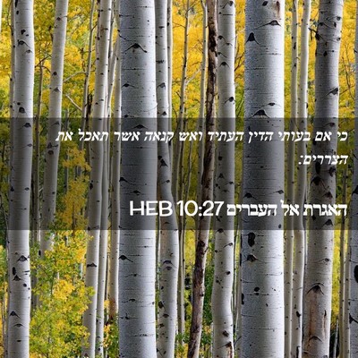 Picture 02 - האגרת אל העברים 10:27 HEB - כי אם בעותי הדין העתיד ואש - Bible Verse Picture