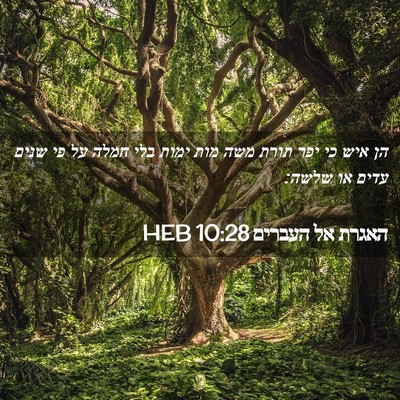 Picture 02 - האגרת אל העברים 10:28 HEB - הן איש כי יפר תורת משה מות - Bible Verse Picture