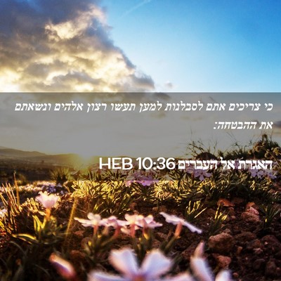 Picture 02 - האגרת אל העברים 10:36 HEB - כי צריכים אתם לסבלנות למען - Bible Verse Picture