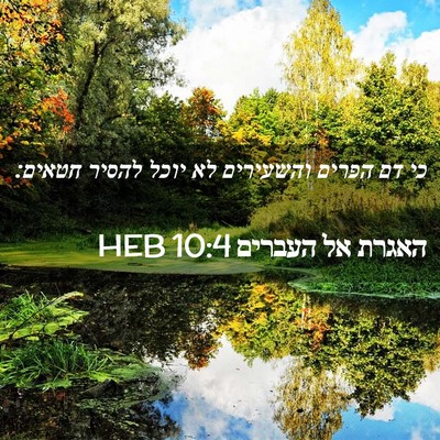 Picture 02 - האגרת אל העברים 10:4 HEB - כי דם הפרים והשעירים לא - Bible Verse Picture