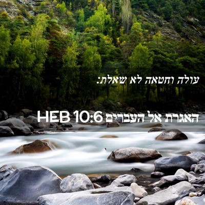 Picture 02 - האגרת אל העברים 10:6 HEB - עולה וחטאה לא - Bible Verse Picture