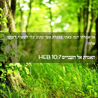 Picture 02 - האגרת אל העברים 10:7 HEB - אז אמרתי הנה באתי במגלת ספר - Bible Verse Picture