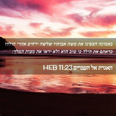 Picture 02 - האגרת אל העברים 11:23 HEB - באמונה הצפינו את משה - Bible Verse Picture