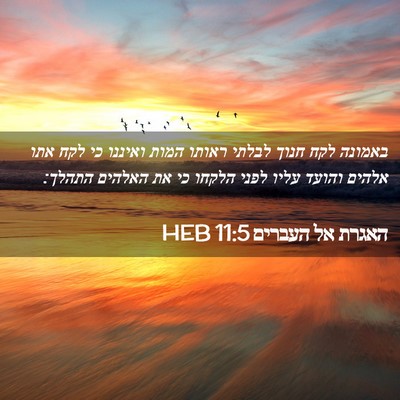 Picture 02 - האגרת אל העברים 11:5 HEB - באמונה לקח חנוך לבלתי - Bible Verse Picture