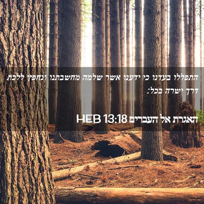 Picture 02 - האגרת אל העברים 13:18 HEB - התפללו בעדנו כי ידענו אשר - Bible Verse Picture