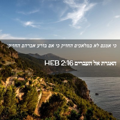 Picture 02 - האגרת אל העברים 2:16 HEB - כי אמנם לא במלאכים החזיק כי - Bible Verse Picture