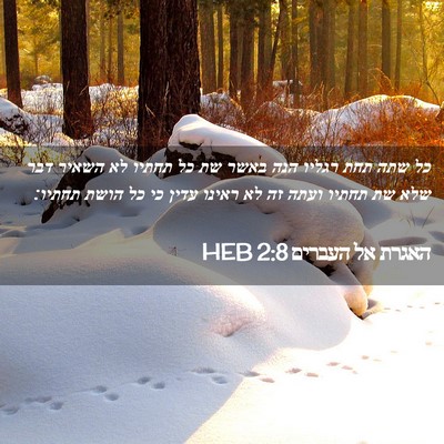 Picture 02 - האגרת אל העברים 2:8 HEB - כל שתה תחת רגליו הנה באשר - Bible Verse Picture
