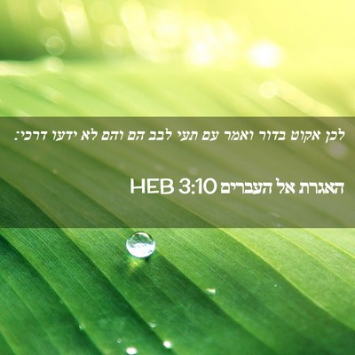 Picture 02 - האגרת אל העברים 3:10 HEB - לכן אקוט בדור ואמר עם תעי - Bible Verse Picture