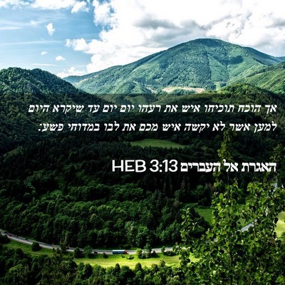 Picture 02 - האגרת אל העברים 3:13 HEB - אך הוכח תוכיחו איש את רעהו - Bible Verse Picture