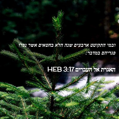 Picture 02 - האגרת אל העברים 3:17 HEB - ובמי התקוטט ארבעים שנה הלא - Bible Verse Picture