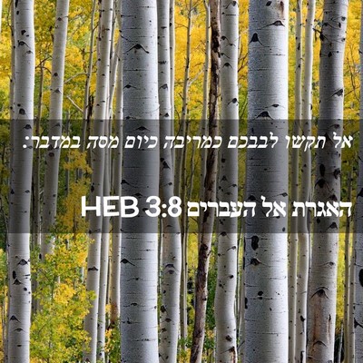 Picture 02 - האגרת אל העברים 3:8 HEB - אל תקשו לבבכם כמריבה כיום - Bible Verse Picture