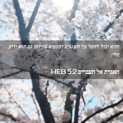 Picture 02 - האגרת אל העברים 5:2 HEB - והוא יכול לחמל על השגגים - Bible Verse Picture